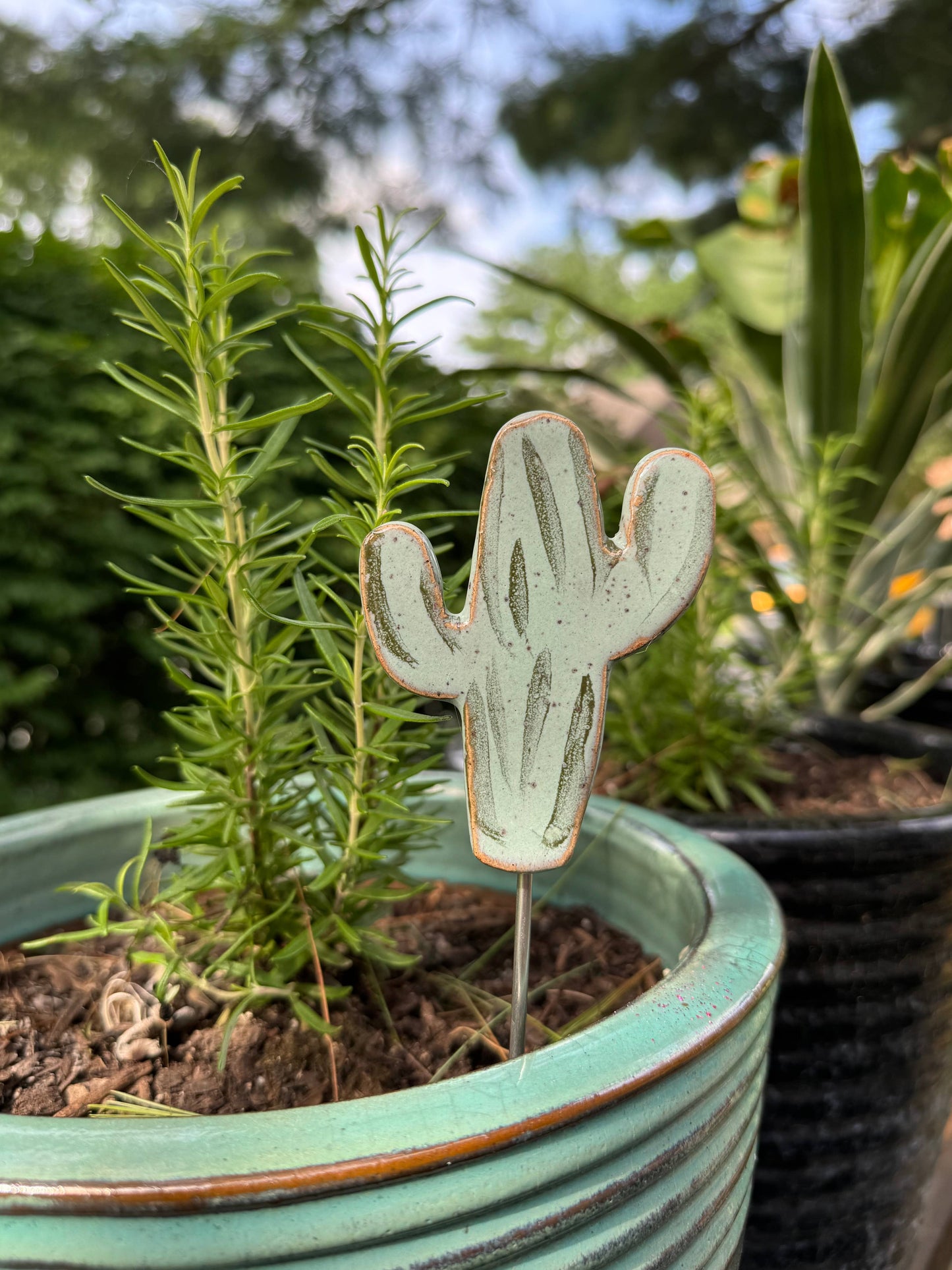 Plant Buddies - Cactus