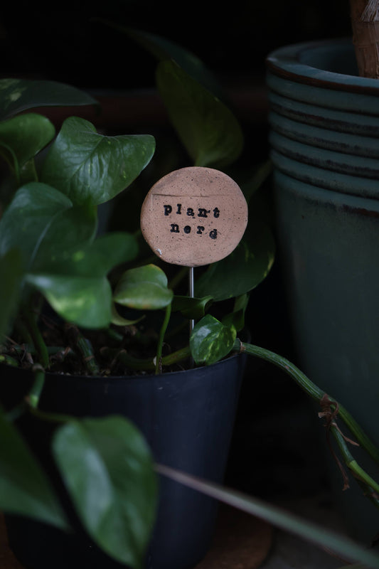 Plant Buddies - Plant Nerd