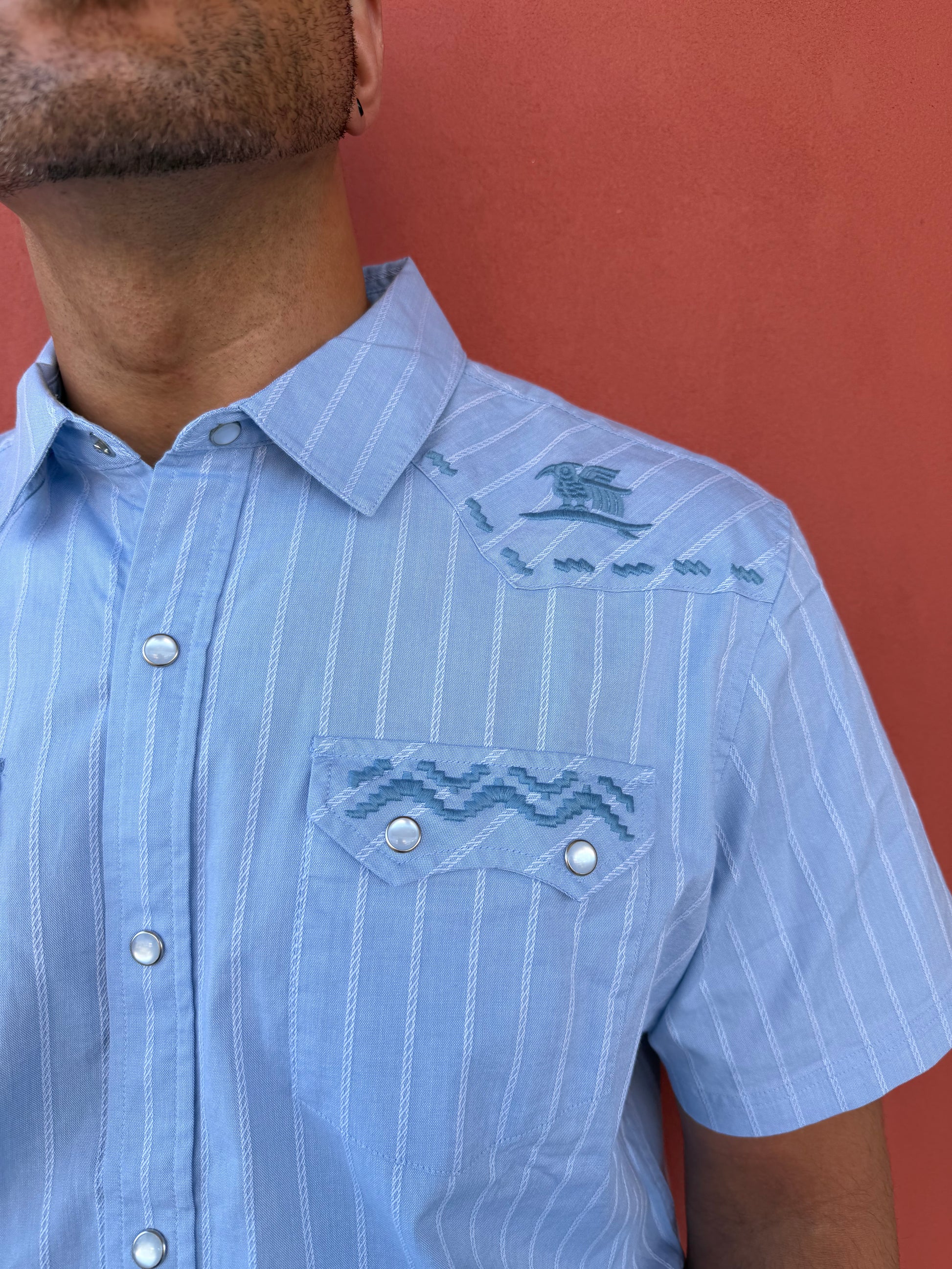 Close-up of a person wearing a light blue striped shirt with decorative buttons on a red background