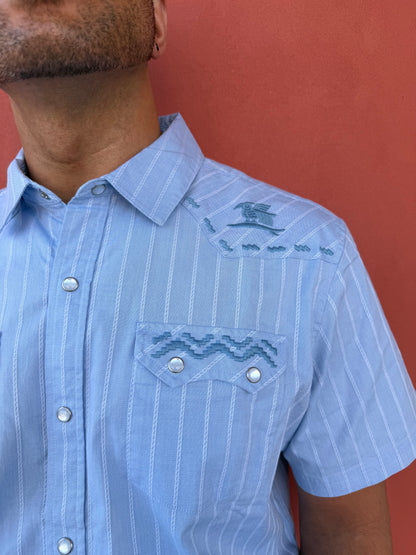 Close-up of a person wearing a light blue striped shirt with decorative buttons on a red background