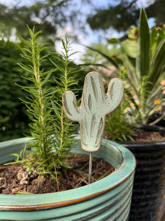 Plant Buddies - Cactus