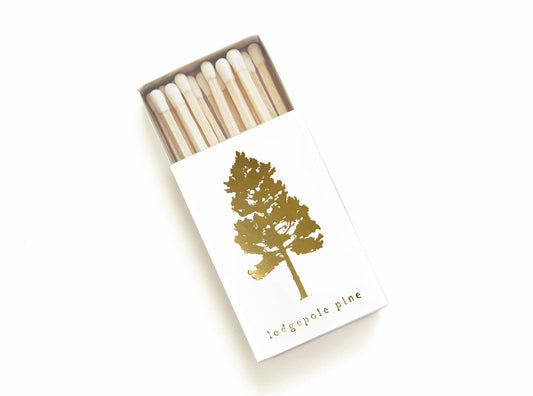 Lodgepole Pine Tree Matchbox