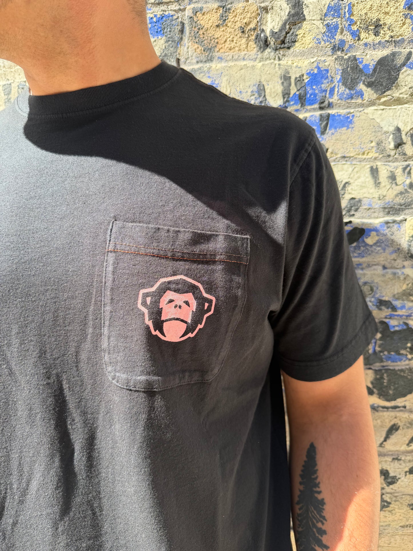 Howler Brothers Graphic Tee