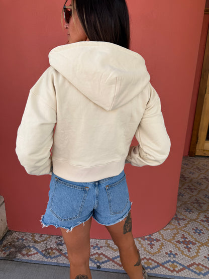 Brixton Pegasus Zip Hoodie