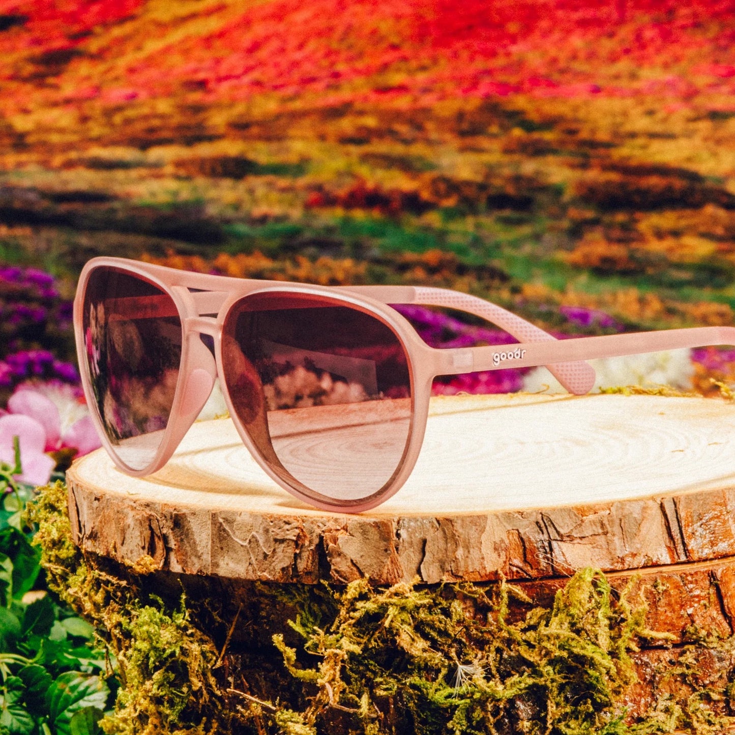 Pink sunglasses on a wooden stump with a colorful mountain landscape in the background