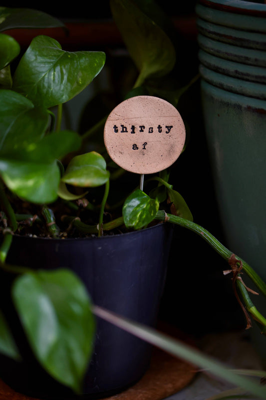 Plant Buddies - Thirsty AF
